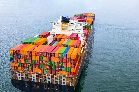 进口水果海运运输报关的流程和注意事项